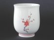Photo3: Tea cup with design of plums and bird by a kiln of the 14th Kakiemon Sakaida  (3)