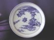 Photo1: Small plate with design of loquat, Blue Old Kutani Style, Old Imari porcelain (1)