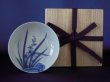 Photo1: Small plate with design of orchid, Nabeshima style, Old Imari porcelain (1)